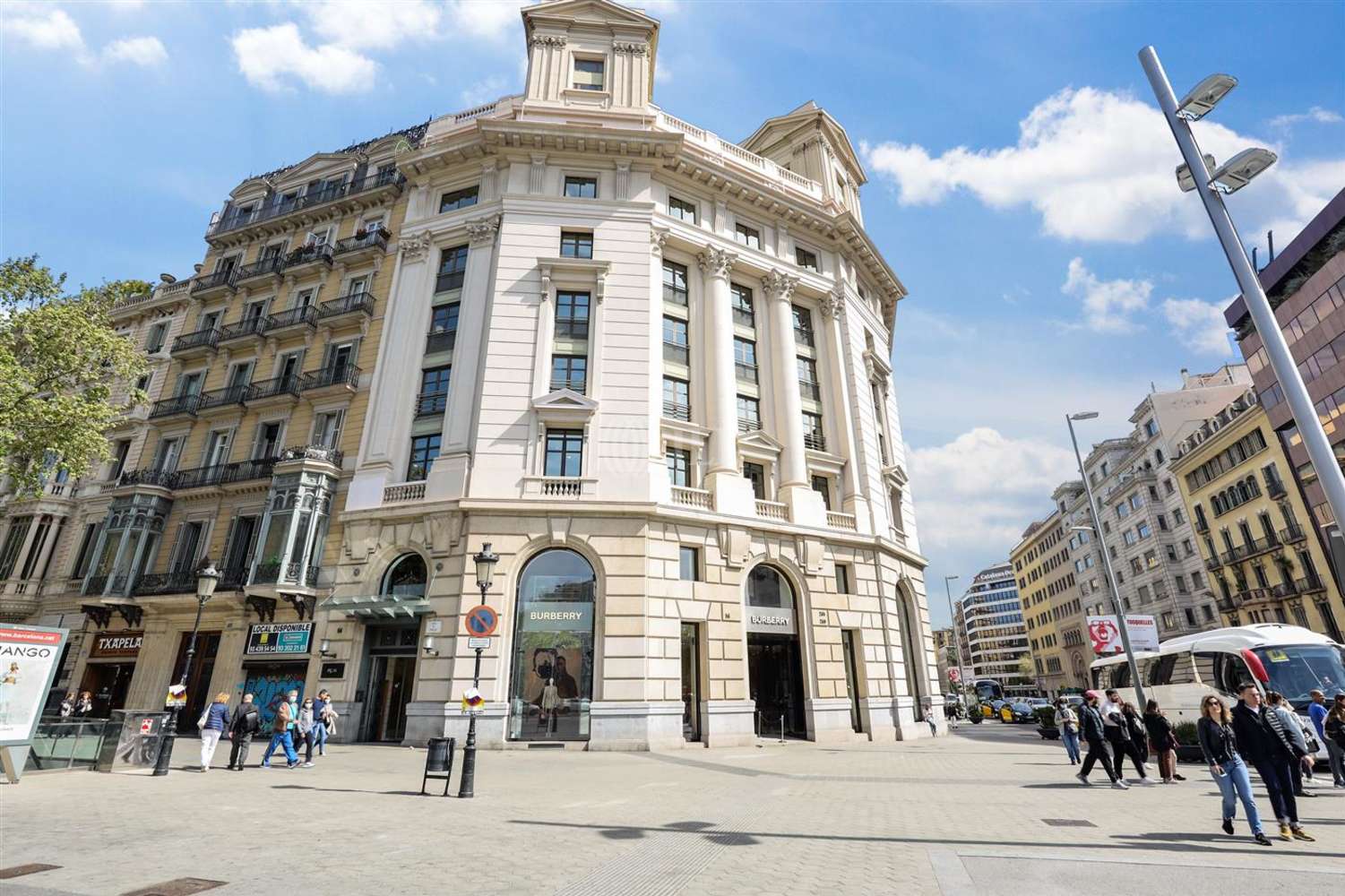 Burberry vigo plaza online